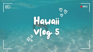 Hawaii Trip 𓆉𓆉 Vlog 5 [upl. by Arline411]