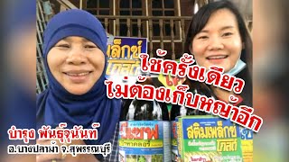 Ep33 คุมฆ่าวัชพืชในนาข้าว  ใช้มานานกว่า 10 ปีไม่เปลี่ยนใจ [upl. by Alfi]