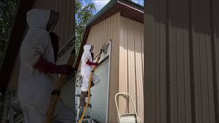 Baldfaced Hornets nest removal [upl. by Meara522]