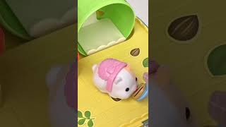 Immersive Hamster Breeding Simulator funny toys cute [upl. by Irmo447]