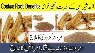 Costus Root Benefits in Urdu Hindi  Qust e Shireen Benefits in Urdu Hindi  Tib Hijama Online [upl. by Wyon422]