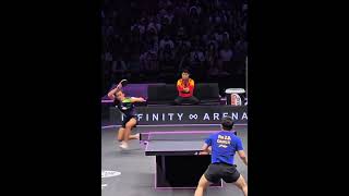 Fan Zhendong vs Hugo Calderano  Best Point 2024 tenisdemesa tabletennis 🏓 🏓 [upl. by Belita]