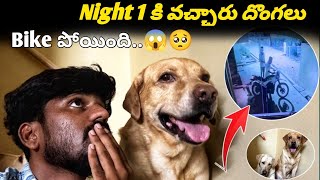 Sandy వల్లే  Bike తీసుకొని పోయారు  Night 1 కి వచ్చారు thiefs🥺  Street Dog కి తెలివి అసలు🙏 [upl. by Kane540]