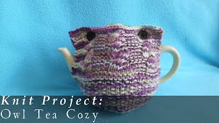 Owl Tea Cozy  Knit [upl. by Price]