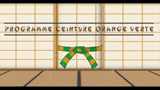 Ceinture ORANGE VERTE Programme du Passage de Grade Judo [upl. by Staten]