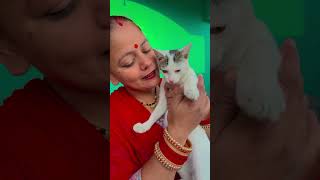 Cat lover ❤️🙏 shorts trending maa viralvideo cat ytshorts [upl. by Netsrek157]