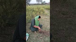 Rova chhat ghate kese jaye 😌😌 viral shortvideo [upl. by Urbanna]