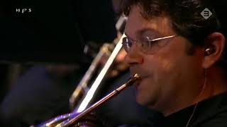 Pat Metheny and The Metropole Orchestra  Are You Going With Me Live 2003 [upl. by Akins798]