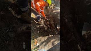 Expert utility dig — safe skilled digging near live utilities [upl. by Enaywd268]