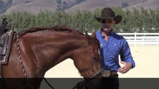 The difference between a hackamore and a rope halter  or sidepull [upl. by Ytsirhc]