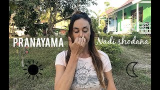 Nadi shodhana  Pranayama [upl. by Atilehs]