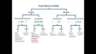 Heart Murmurs Mitral Valve Prolapse [upl. by Chemarin487]