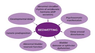 PATHOLOGY OF ENURESIS AND INCONTINENCE IN CHINESE MEDICINE [upl. by Ttenneb]