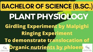 Girdling Experiment  Ringing Experiment  Malpighi  Translocation by phloem  Academy by Ayushi [upl. by Ellicec]