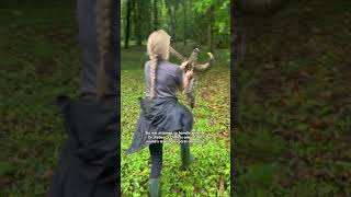 Dr Rebecca Cliffe Helping a Sloth Cross the Road 🦥❤ [upl. by Leirud]