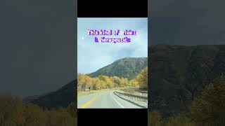 Driving in the fall on Seward highway Alaska fun travel nature wilderness adventures trips [upl. by September]