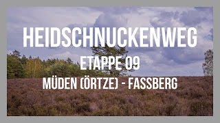 Heidschnuckenweg  Etappe 09  Müden Örtze  Fassberg  Lüneburger Heide  GPSTrack [upl. by Aniled572]