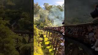 The Puffing Billy “Australia’s favourite steam train” 🚂📍Melbourne Australia 🇦🇺📸 1amny steamtrains [upl. by Burns]