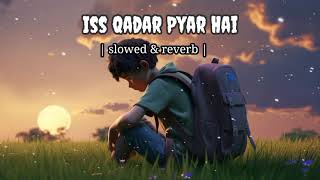 ISS QADAR PYAR HAI SLOWED amp REVERB BY LOFI VIBES [upl. by Allemrac208]