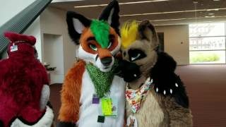 Anthrocon 2017  MadeFurYou Photoshoot [upl. by Clyde478]