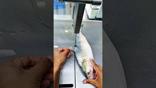 Amazing giant river super fresh Hilsha fish cutting skills fish market fish shorts fishlaver [upl. by Soinotna]