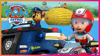 Ultimate Rescue Marshall puts out fires with the Pups  PAW Patrol  Cartoons for Kids Compilation [upl. by Novhaj]