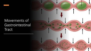 MOVEMENTS OF GASTRO INTESTINAL TRACT  PHYSIOLOGY  NOTES  MBBS  BAMS  BHMS  BDS [upl. by Anilosi]