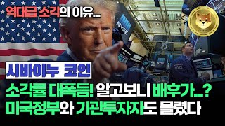 시바이누의 1달러 가능성 그리고 소각률 폭등의 의미는 [upl. by Girish]