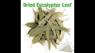 Private Label Caffeine Free Herbal Tea Eucalyptus Tea Eucalyptus Leaf Tea [upl. by Kcirtap]