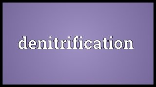 Denitrification Meaning [upl. by Eimaral]