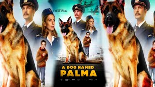 A Dog Named Palma Full Movie Fact amp Some Details [upl. by Thurstan]