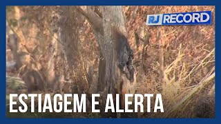 Falta de chuva todo território do estado do Rio em alerta por causa da estiagem [upl. by Aitnauq]