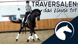 Reitest Du Deine Traversale richtig 🐴 Preview🎥  ClipMyHorseTV Academy 🎓 [upl. by Lira]