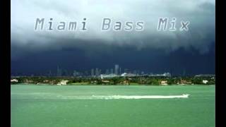 Leeroy Thornhill  Miami Bass Mix [upl. by Anuahs358]