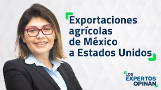 Exportaciones agrícolas de México a Estados Unidos [upl. by Fey]