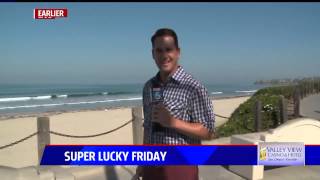 Big bug gives FOX 5 reporter a big scare Are we live [upl. by Notla]