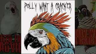 Polly Want A Cracker Official Music Video  Dusty Douglas [upl. by Sommers]