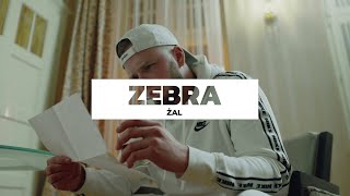 Zebra  Żal Non Official Video vin vinci [upl. by Ck]