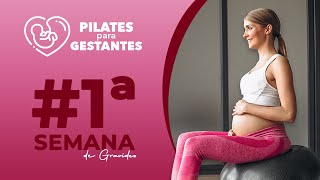 Exercícios com BOLA de PILATES para Iniciantes  17 min [upl. by Poock]