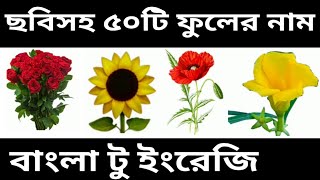 Flowers Name with Picture English to Bangla  Baby vocabulary with picture [upl. by Notluf254]