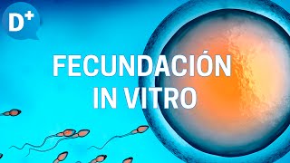 Fecundación in vitro Etapas y resultados [upl. by Arihat]