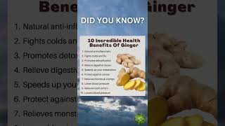 Health Benefits of Ginger [upl. by Amberly268]