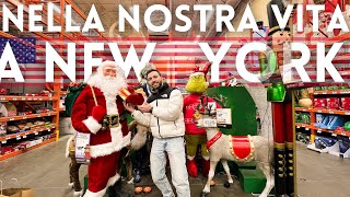 UN GIORNO NELLA NOSTRA VITA A NEW YORK🇺🇸 Svuota la spesa compriamo le decorazioni di Natale [upl. by Balling]