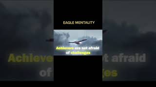 What can we learn from eagle mentality [upl. by Anivad]