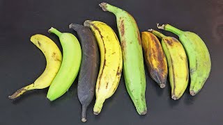 How to eat UNRIPE BANANAS RAW PLANTAINS amp everything in between  Weird Fruit Explorer [upl. by Chaddie]