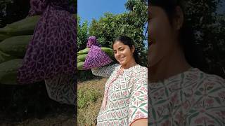 Navratri ka dusra Vrat 😍🌴minivlog ytshort vlog shorts [upl. by Noedig]