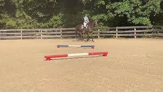 Virtual Equine Events cavaletti challenge 1 exercise 3 [upl. by Nosreg]