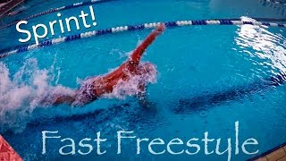 How to swim fast freestyle Sprint front crawl [upl. by Kersten]