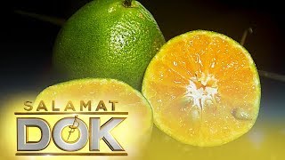 Salamat Dok The health benefits of dalandan calamansi and pomelo [upl. by Anirrehs491]