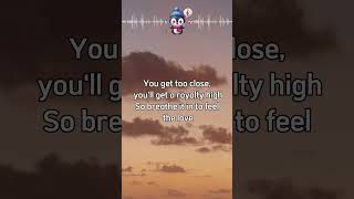 Kings amp Queens Lyrics 🐧 AvaMax KingsAndQueens music Lyrics [upl. by Suired]